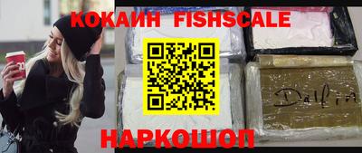 мдпв Кингисепп