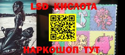 мдпв Кингисепп