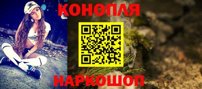 мдпв Кингисепп