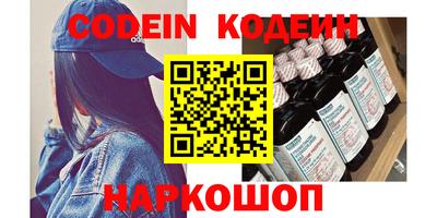 мдпв Кингисепп