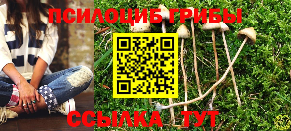 Галлюциногенные грибы Magic Shrooms  Вход с VPN  Курган 